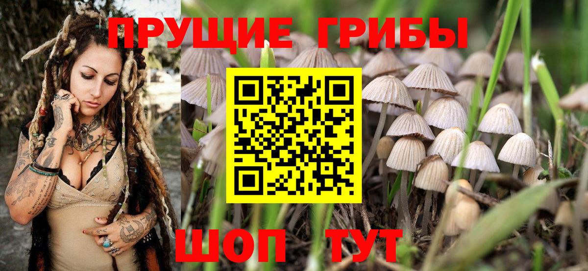 Псилоцибиновые грибы Psilocybine cubensis  Псилоцибиновые грибы мухоморы  Вход с VPN  Людиново 